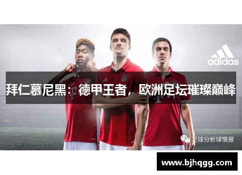 拜仁慕尼黑：德甲王者，欧洲足坛璀璨巅峰